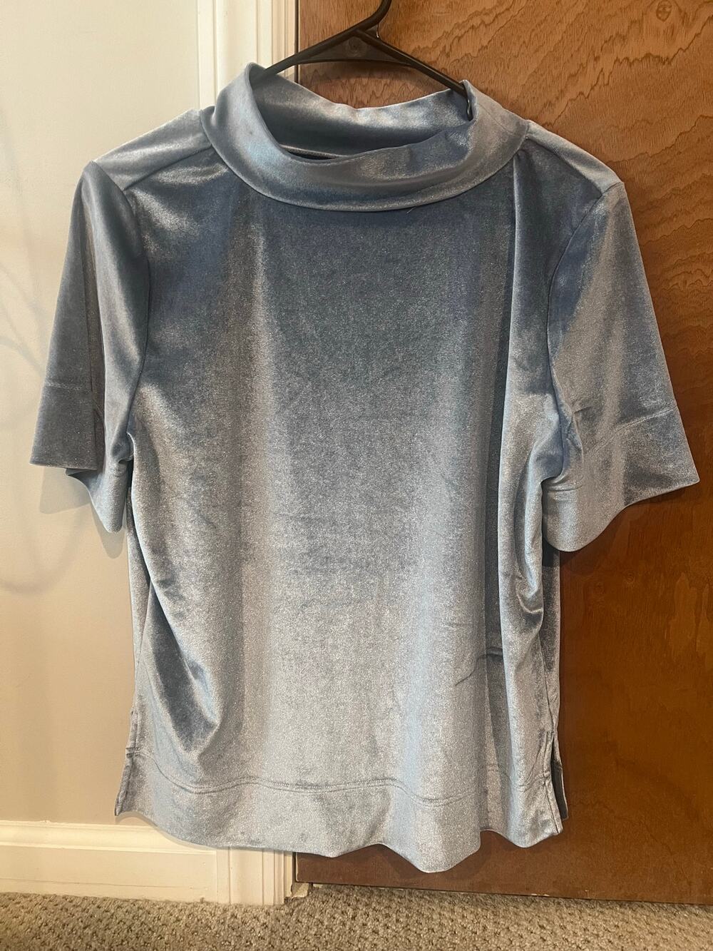 Anthropologie Velvet Blue Top